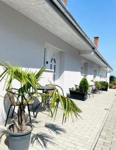 un patio con sillas y una maceta frente a una casa en Maul - Lator vendégház, en Villány