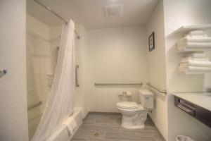 Hampton Inn West Plains的一间浴室
