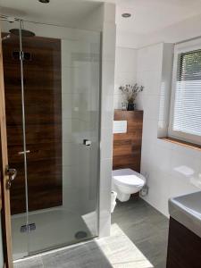 a bathroom with a toilet and a glass shower at Chata Trhovky 1 in Milešov