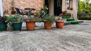 Zahrada ubytování Dato's GuestHouse