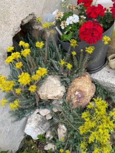 Gallery image of Villa Christine Chambre Rose in Marchenoir