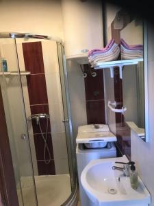 ein kleines Badezimmer mit Dusche und Waschbecken in der Unterkunft Apartment Lavanda in Zadar