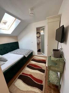 Schlafzimmer mit einem Bett, einem TV und einem Teppich in der Unterkunft VILA ANA in Băile Herculane