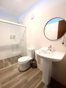 a bathroom with a toilet and a sink and a mirror at Casa La Purísima in Guadalajara