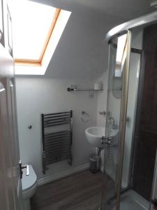 een badkamer met een douche, een wastafel en een toilet bij The Inn on the Loch in Castle Douglas