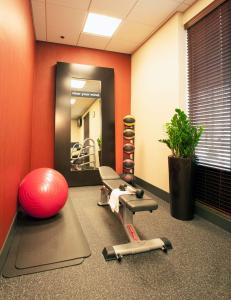 an office with a gym with a mirror and exercise equipment at Hampton Inn Washington-Dulles International Airport South in Chantilly
