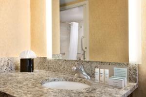 a bathroom counter with a sink and a mirror at Hampton Inn Washington-Dulles International Airport South in Chantilly
