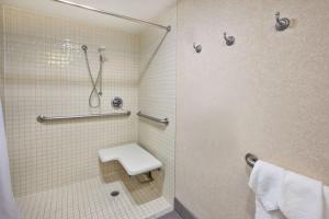 a bathroom with a shower stall with a toilet at Hampton Inn Washington-Dulles International Airport South in Chantilly