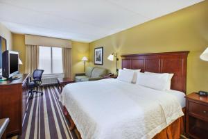a hotel room with a bed and a television at Hampton Inn Washington-Dulles International Airport South in Chantilly