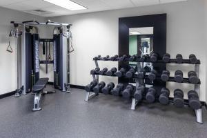 a gym with a rack of dumbbells and a mirror at Hampton Inn Woodbridge in Woodbridge