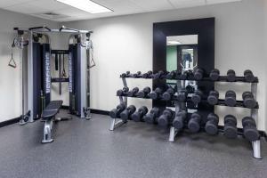 Fitness centrum a/nebo fitness zařízení v ubytování Hampton Inn Woodbridge