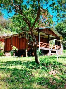 una casa con un árbol delante de ella en Casa, en Vespasiano Corrêa