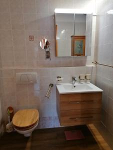 a bathroom with a sink and a toilet and a mirror at Les Comblés des Combes in Ollon