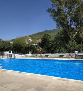 埃爾博斯克的住宿－Azahares Apartamento turístico，一个大型蓝色游泳池,周围的人都站在游泳池旁