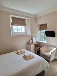 a bedroom with a bed and a chair and a television at Ferndale Lodge in Ambleside