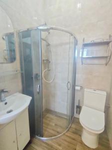 uma casa de banho com um chuveiro, um WC e um lavatório. em Pokoje Gościnne pod Orzechem 