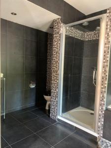 a bathroom with a shower and a toilet at Stylish independent Studio S1, City Centre Dordrecht in Dordrecht +4 photos