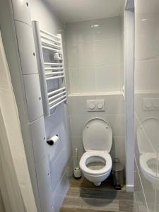 een kleine badkamer met toilet en wastafel bij Studio au calme climatisé avec terrasse in Paillet