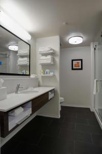 a bathroom with a sink and a mirror at Hampton Inn & Suites Ardmore in Ardmore