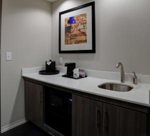 Kuchyň nebo kuchyňský kout v ubytování Hampton Inn & Suites Ardmore