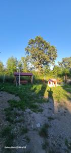 un parco con panchina e piccola capanna in un campo di LukAmi Green Home a Făgăraş