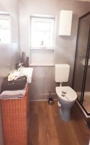 een badkamer met een toilet en een wastafel bij Ferienbungalow Haus Rolf _ Objekt in Papendorf