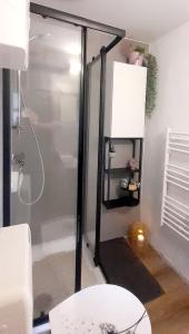 ein Badezimmer mit Dusche, WC und Lampe in der Unterkunft Ferienbungalow Haus Rolf - Objekt 39079 in Papendorf