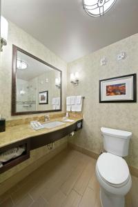 a bathroom with a toilet and a sink and a mirror at Hilton Garden Inn Lawton-Fort Sill in Lawton
