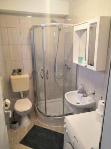 ein Bad mit einer Dusche, einem WC und einem Waschbecken in der Unterkunft Apartman Lizdek in Pale