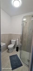 La salle de bains est pourvue de toilettes et d'une douche en verre. dans l'établissement LukAmi Green Home, à Făgăraş