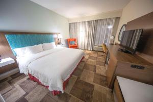 um quarto de hotel com uma cama e uma televisão de ecrã plano em Hampton Inn Hutchinson em Hutchinson