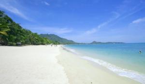 a beach with white sand and blue water and palm trees at Lamai Inn 99 Bungalows in Lamai
