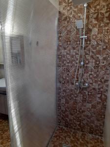 a shower with a glass door in a bathroom at Pezoulia Cottages in Samothraki