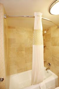 a bathroom with a shower curtain and a tub at Hampton Inn Salt Lake City-North in Woods Cross