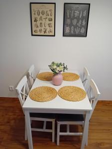 Fotografie z fotogalerie ubytování Apartmány Šrámek Stříbro ve Stříbře