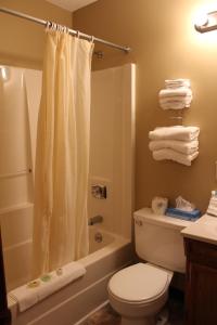 a bathroom with a white toilet and a shower at Gold Country Inn in Deadwood