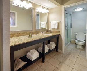 Ένα μπάνιο στο DoubleTree by Hilton Buffalo-Amherst
