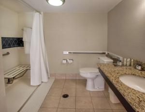 Ένα μπάνιο στο DoubleTree by Hilton Buffalo-Amherst