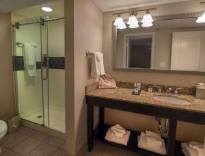 Ένα μπάνιο στο DoubleTree by Hilton Buffalo-Amherst