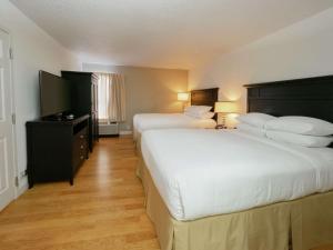 Ένα ή περισσότερα κρεβάτια σε δωμάτιο στο DoubleTree by Hilton Buffalo-Amherst
