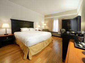 una camera da letto con un letto grande e una TV a schermo piatto di DoubleTree by Hilton Buffalo-Amherst ad Amherst Altre 34 foto