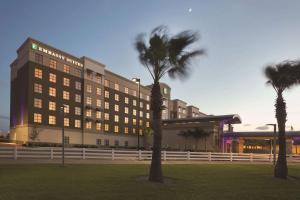 a hotel with a palm tree in front of a building at Embassy Suites by Hilton McAllen Convention Center in McAllen