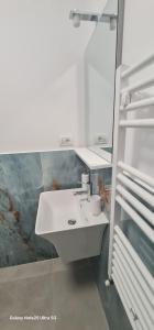 La salle de bains blanche est pourvue d'un évier et d'un réfrigérateur. dans l'établissement LukAmi Green Home, à Făgăraş