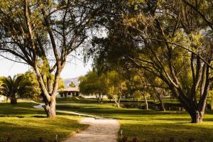 un chemin à travers un parc planté d'arbres et d'herbe dans l'établissement Ensenada Hotel y Campo Asociado Casa Andina, à Cajamarca