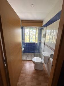 a bathroom with a toilet and a shower at Mirador De Rouris in A Coruña
