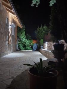 a patio at night with a plant in a pot at Stari Hrast 2 in Prolomska Banja