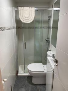 レゾにあるBonito y acogedor apartamento cerca de Donostia San Sebastiánのバスルーム(トイレ、ガラス張りのシャワー付)