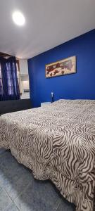 Bett in einem Schlafzimmer mit blauer Wand in der Unterkunft Lyfrago Departamento Temporario in San Fernando del Valle de Catamarca