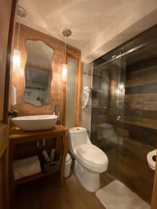 W łazience znajduje się toaleta, umywalka i prysznic. w obiekcie Casa Neek w mieście San Cristóbal de Las Casas