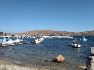 a bunch of boats are docked in a harbor at Leros Sunset Apartments in Gourna